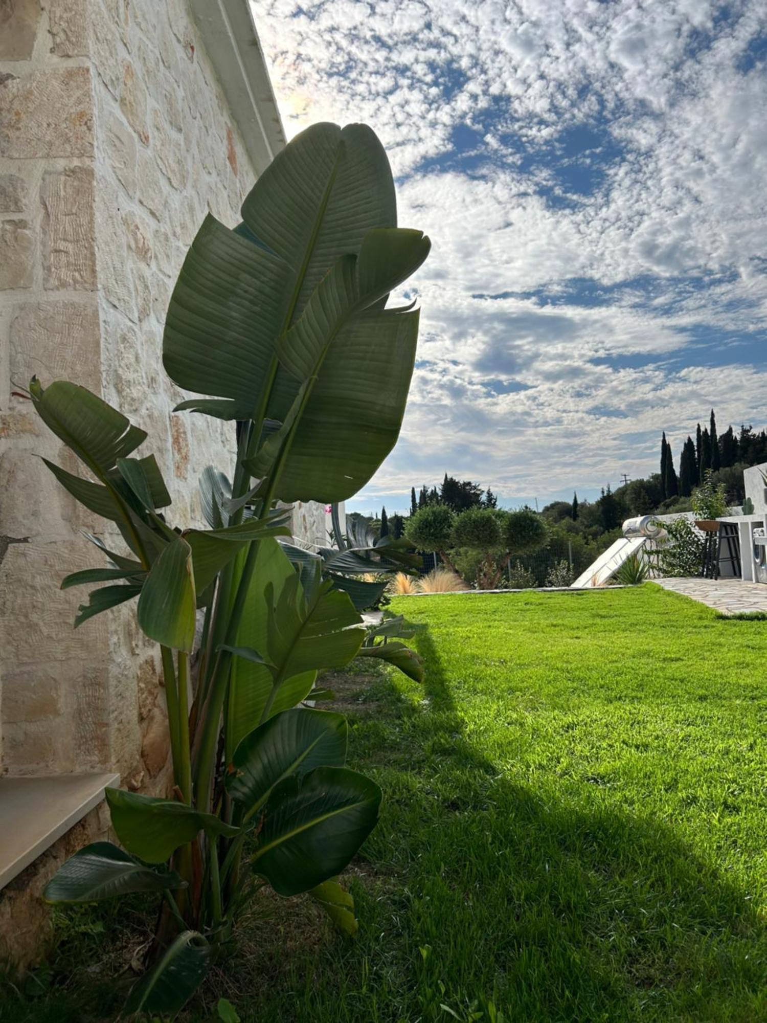 Luz Blanca Vila